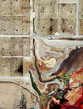 Feedlots Mishka Henner