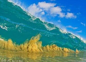 The Shorebreak Art By Clark Little Weird And Wonderful News Library