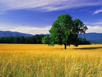 Wallpaper Nature Scenery