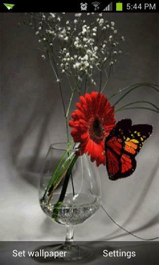 Nice Butterfly Live Wallpaper Android