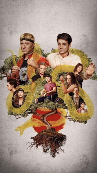 Some Cobra Kai Wallpaper Mostly Found Them Under S