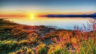 Theme Full HD Widescreen Type Wallpaper For