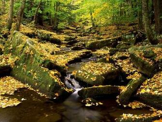 Pc Wallpaper Rivers And Creeks Desktop Background