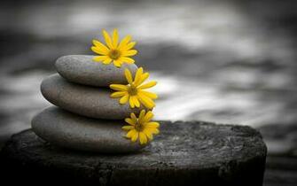 Zen Wallpaper Widescreen Image Gallery