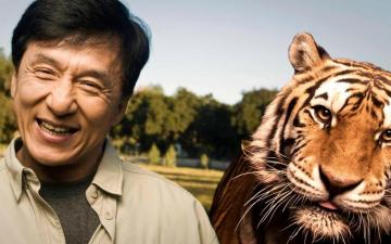 Men Actor Jackie Chan Smiling Animals Tiger Wallpaper HD