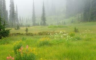 Canadian Landscape HD Wallpaper