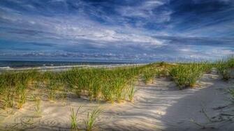 Island Beach State Park New Jersey Summer Grass Green Sea