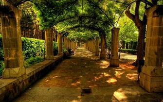 Beautiful Beauty Bench City Grass Green Leaves Lovely Nature