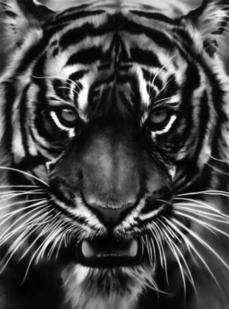 iPhone Wallpaper Request Thread Forums