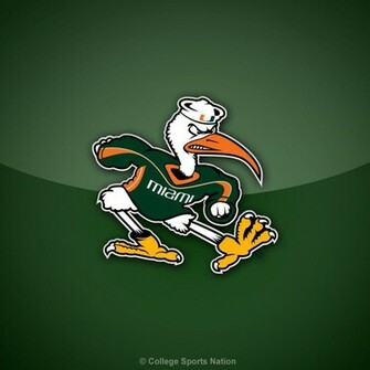 University Of Miami Wallpaper