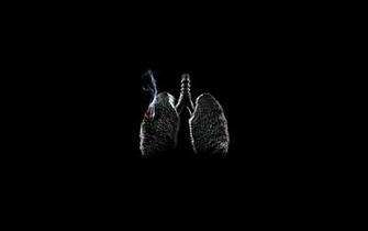 Stop Smoking Wallpaper Posted By Michelle Tremblay
