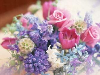 Spring Image A Bunch Of Flowers Wallpaper Photos