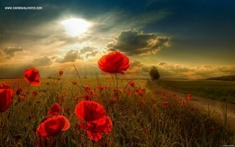 HD Wallpaper For Mac 1080p Mobile