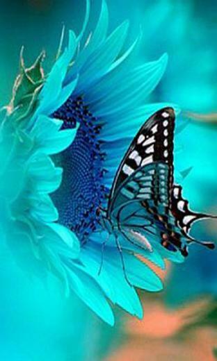 Best Wallpaper For Nokia Lumia