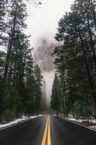 Forest Road Pictures Image