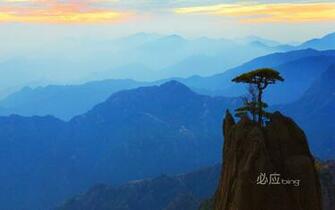 Gallery For Bing Wallpaper Archive