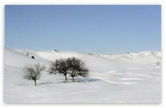 Snowscape Wallpaper