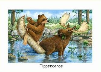 Moose Bear Get Domain Pictures Getdomainvids