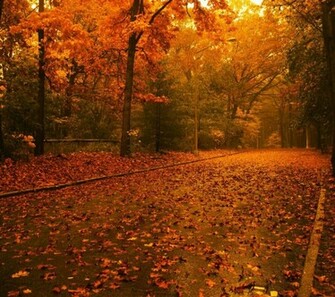 Fall Desktop Wallpaper