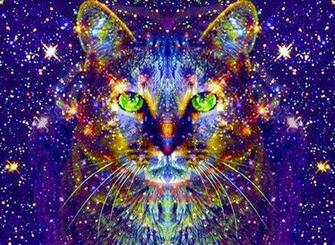 Psychedelic Cat On