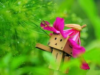 Danbo Wallpaper Cute Adorable Lovely Art Most