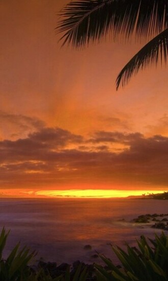 Beautiful Sunrise Wallpaper Android Apps On Google Play