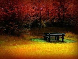 Autumn HD Desktop Wallpaper2013