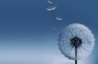 Samsung Galaxy S3 Wallpaper Water Ile Ilgili Resimler Veya