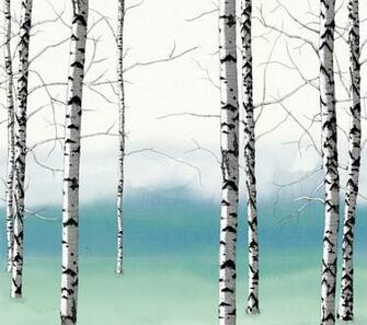 Birch Tree Background Trees Mural Zoom In