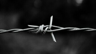 Monochrome Knot Wallpaper