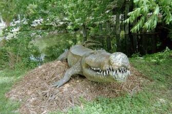Deinosuchus Hatcheri By Nutcase71733
