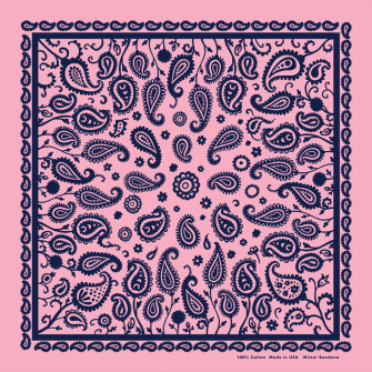 Paisley Supernova Bandana Mister