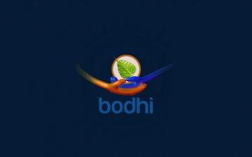 Wallpaper Bodhi Linux Blue