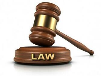 Will Bring Law Against Lynching If Need Be Rajnath Bilkul Online