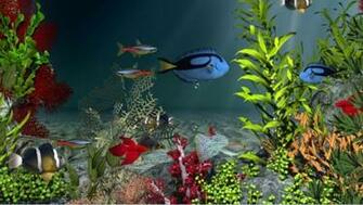 Aqua Coral Reefs 3d And Software Res Cnet
