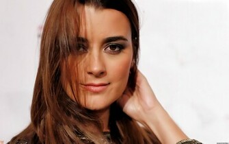 Cote De Pablo Ziva David Wallpaper Ncis