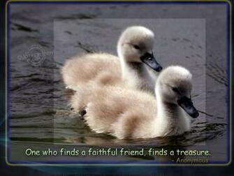 True Friendship Quotes Best Friend Graphic Wallpaper