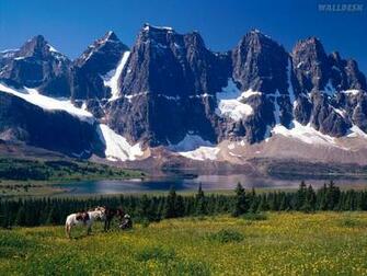 Canada Pap Is De Parede Canad Fotos Imagens E Wallpaper No