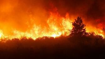 Forest Fire Wallpaper