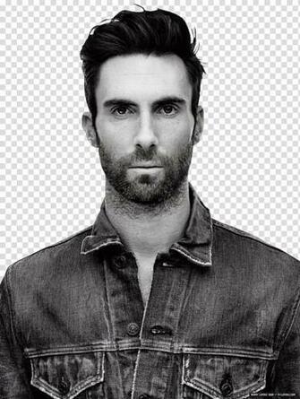 Adam Levine Transparent Background Png Clipart Hiclipart