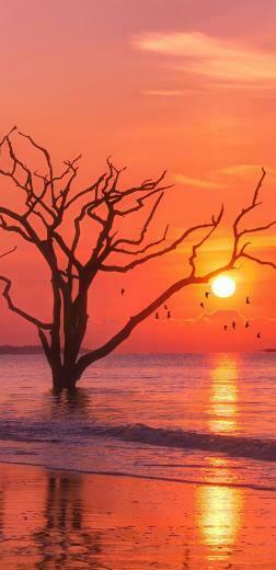 Naturewallpaper HDwallpaper Nature iPhone Wallpaper Red Sky At