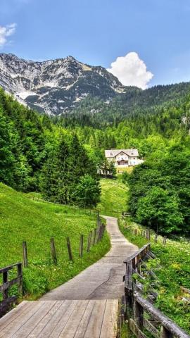 The Road To Green Heaven iPhone 5s Wallpaper