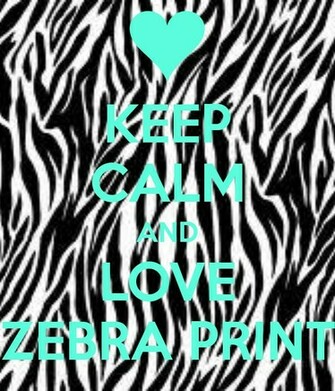 Simple Zebra Wallpaper For Phone