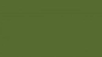 Resolution Dark Olive Green Solid Color Background And