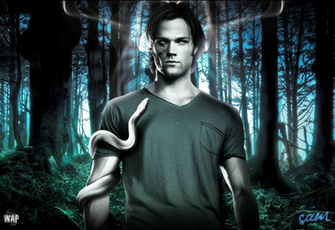Arte Pop Wallpaper Sam Winchester