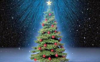 Wallpaper Mit Weihnachtsbaum HD Hintergrundbilder