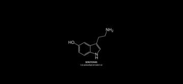 Serotonin HD Wallpaper iPhone X