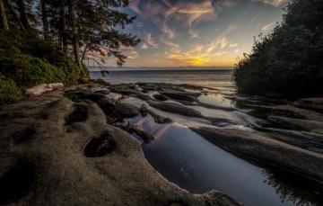 Wallpaper Trees Fog Coast Morning Canada Bay Vancouver