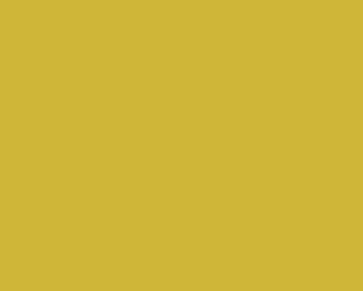 Gold Color Background