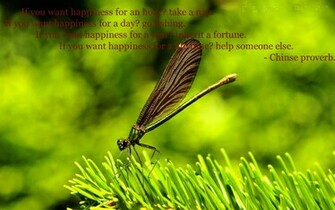 If You Want Happiness For An Hour Take A Nap